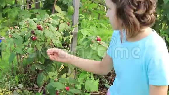 花园里的少女在树莓上表演视频的预览图
