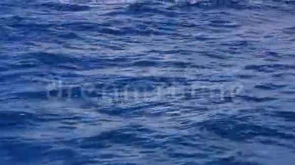 加勒比海海水和波纹作为自然背景在开阔水域航行视频的预览图