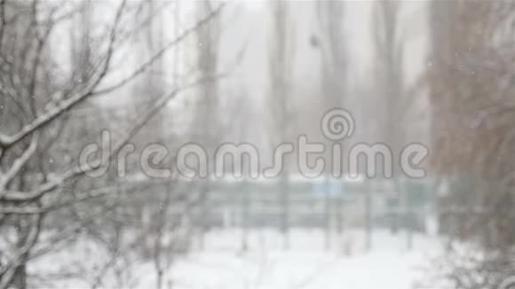 美丽的冬季景观外面下雪慢动作雪花特写视频的预览图