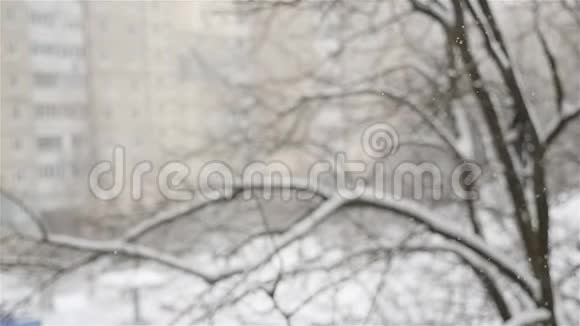 美丽的冬季景观雪落在模糊的房子的背景上雪花的特写冷视频的预览图