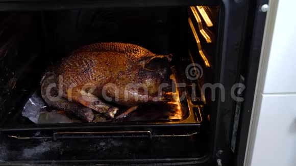 大鸭子在烤箱里烤视频的预览图