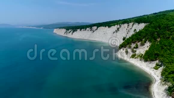 高高的黑海滩松树挂在黑海的高岸上视频的预览图