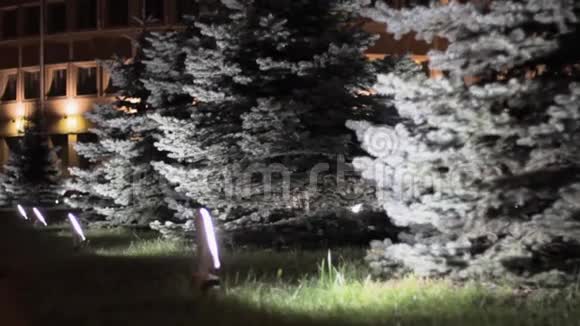 圣诞树花园节日装饰视频的预览图