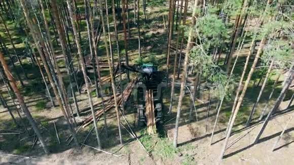 拖拉机装树干砍伐森林和伐木概念视频的预览图