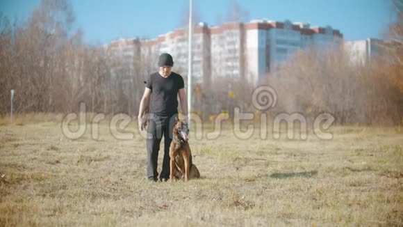 一个人在训练他的德国牧羊犬狗在训练者的腿之间行走视频的预览图