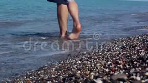 杰克罗素特里尔在海滨和他的主人玩杰克罗素猎犬沿着鹅卵石追着主人跑视频的预览图