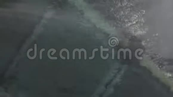 海底漂浮鱼的底部视图复制空间视频的预览图