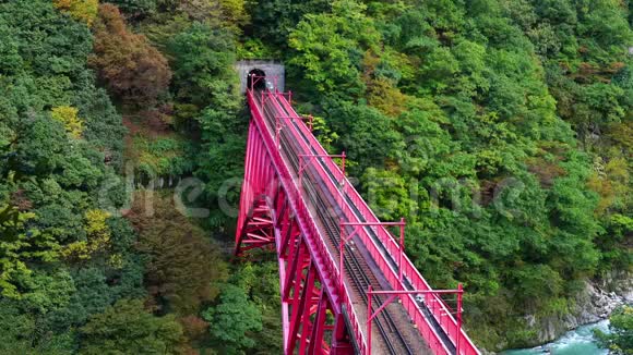 观光火车从隧道里出来在科鲁布峡的红桥上行驶视频的预览图