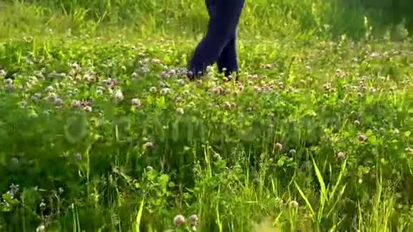 在阳光明媚的夏日一个苗条的女人赤脚走在一片绿色的草地上上面有粉红色的三叶草花视频的预览图