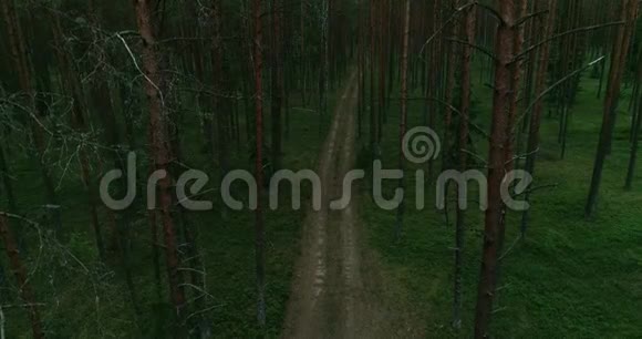 立陶宛的森林立陶宛首都维尔纽斯附近的绿松林7视频的预览图