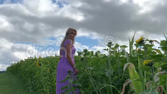 美丽的年轻女子站在田野里穿着一件紫丁香的连衣裙向日葵视频的预览图