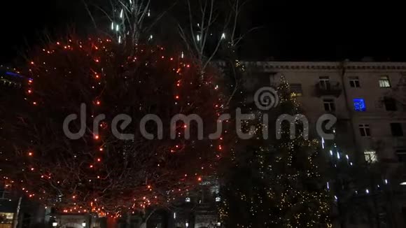 户外树木的圣诞照明视频的预览图