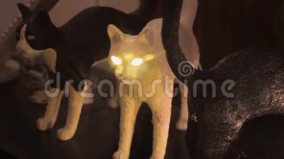 装饰灯猫的形式发光的眼睛灯笼设备视频的预览图