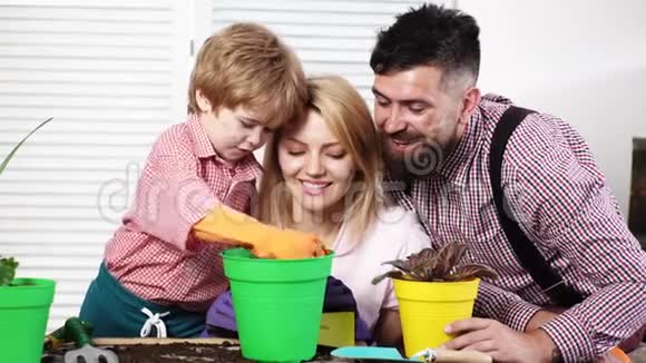 家庭在花盆里种花有父母的孩子一起照顾植物孩子和妈妈爸爸在家做园艺视频的预览图