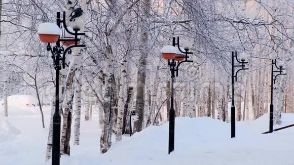 冬季公园里有灯笼人们路过冬天的树上覆盖着白霜冬日美景视频的预览图
