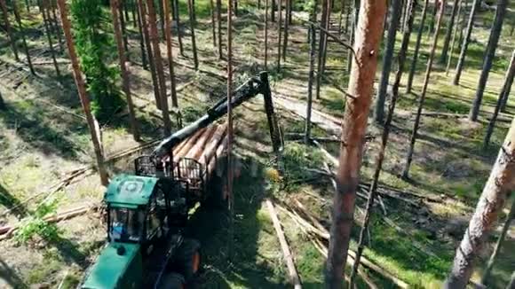 一辆拖拉机在森林里工作时把树干放进拖车里视频的预览图