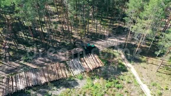 工作机器把树干堆在森林里视频的预览图