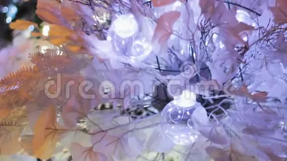 有花环灯泡的冬季花设计花环庆祝视频的预览图