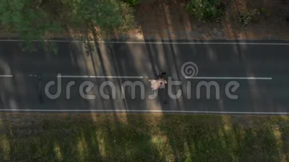 男子和妇女在夏季森林的空中俯视道路上行走视频的预览图