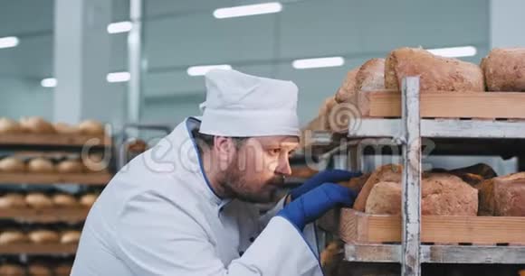 有魅力的脂肪面包师男人透过架子非常小心地安排面包的有机完美面包视频的预览图