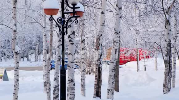 冬季公园里有灯笼人们路过冬天的树上覆盖着白霜冬日美景视频的预览图
