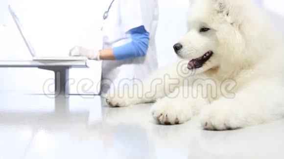 兽医用注射器给狗注射疫苗视频的预览图