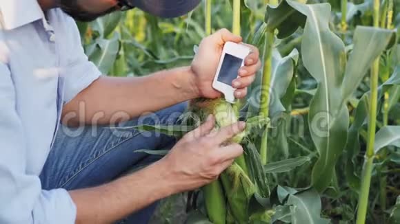 手持数字设备的农民检查硝酸盐收获视频的预览图