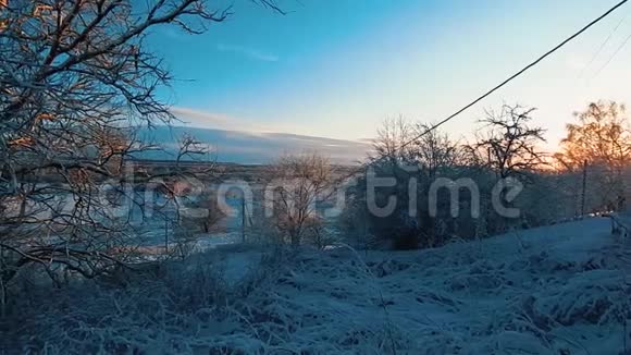 美丽的冬季景观阳光明媚的日子孤独的树视频的预览图