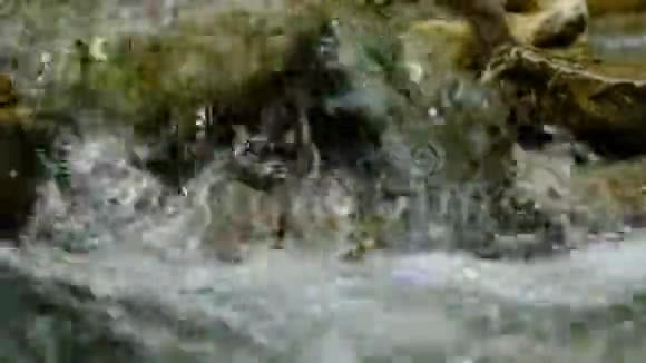 小河里的小瀑布视频的预览图