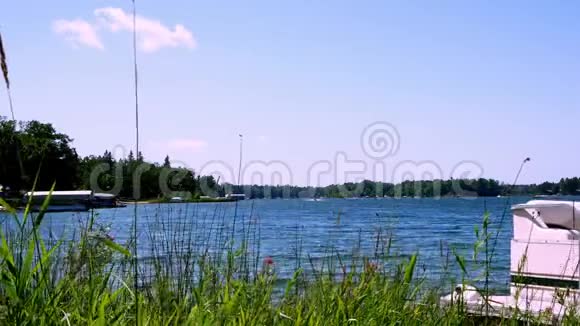 美丽的明尼苏达湖在阳光明媚的一天从海岸线上本地野花视频的预览图