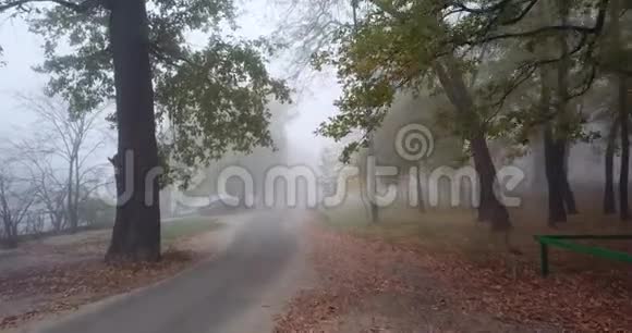 秋天的风景公园区的雾路无人机飞行视频的预览图