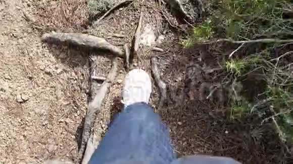 洛基森林小径上有一个行走的人视频的预览图