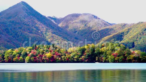 秋季色彩斑斓的树叶和水面倒影的楚岑基湖景视频的预览图