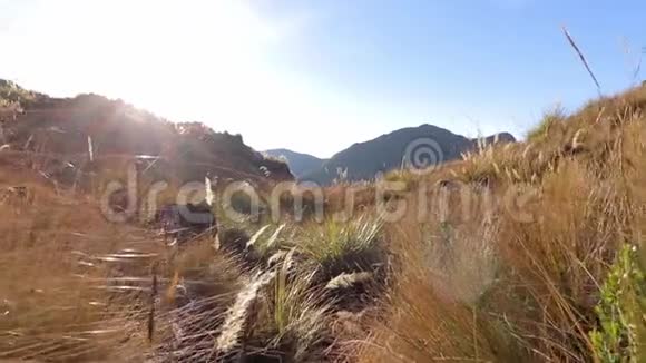 穿过玻利维亚安第斯山脉的金草视频的预览图