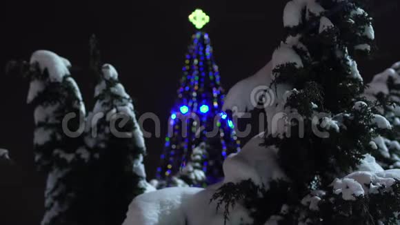 在冬天的夜晚装饰有花环和灯光的圣诞树会发光关注前景新年前夜视频的预览图