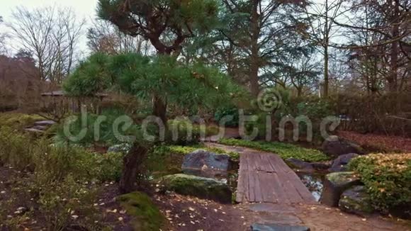 冬天穿过日本花园木桥横过池塘视频的预览图
