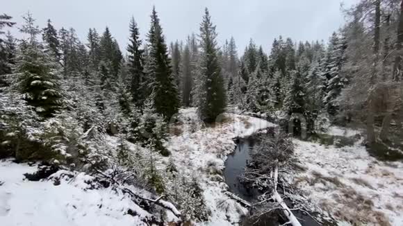 冬季山脉中有雪和小溪是阿尔兹森林景观区的冬季视频的预览图