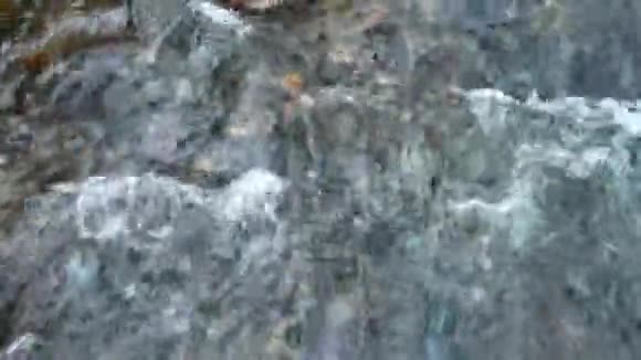 清澈的天然溪流的水五颜六色的落叶从Ryuzu瀑布流在砾石地板上视频的预览图