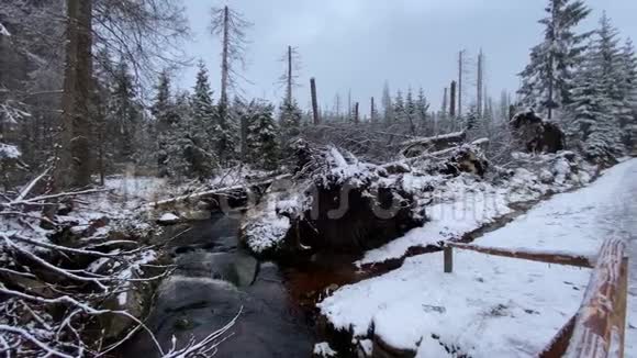 冬季山脉中有雪和小溪是阿尔兹森林景观区的冬季视频的预览图