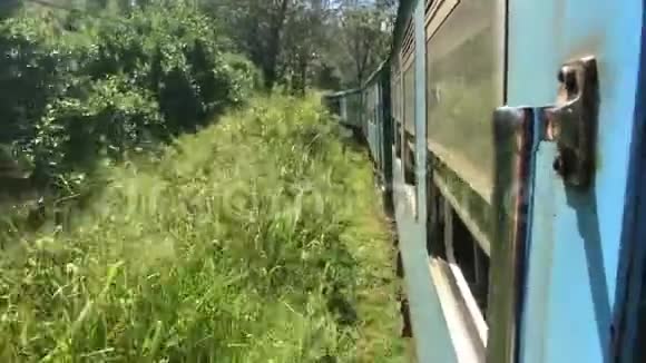 斯里兰卡埃拉沿着灌木丛行驶视频的预览图