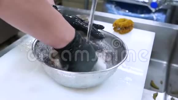 厨师清洗章鱼生海鲜特写镜头视频的预览图