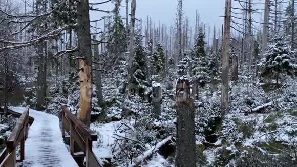冬季的木路在山脉的哈兹森林景观区奥德特伊奇湖上翻腾着雪视频的预览图