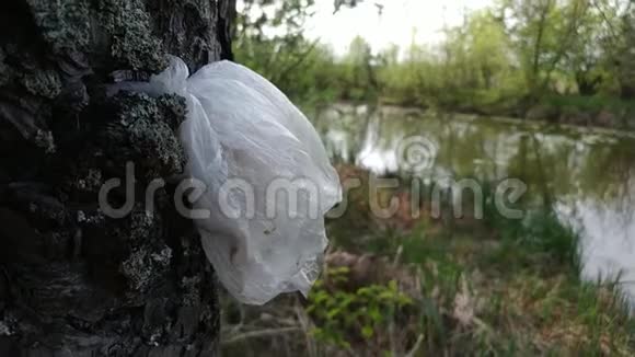 塑料袋挂在森林里的树上恶劣的生态环境视频的预览图