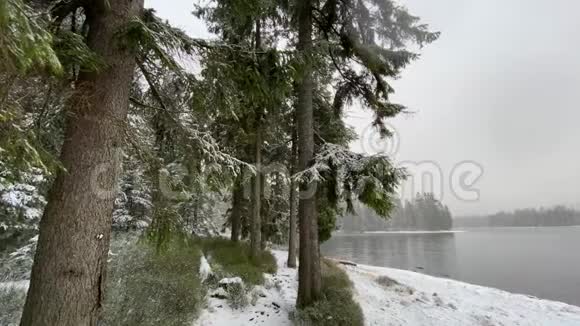 冬季山脉有雪哈兹森林湖奥德泰奇风景视频的预览图