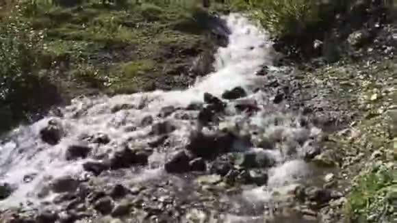 山谷里的小河视频的预览图