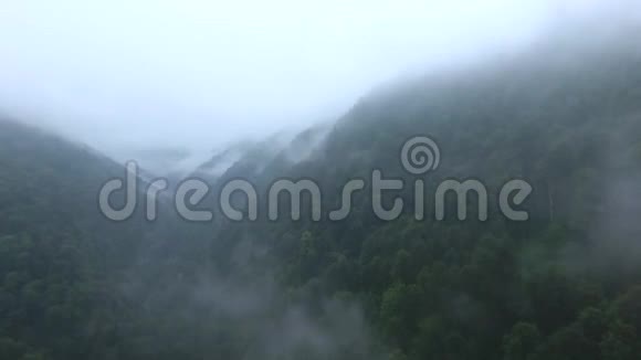 云中野林山视频的预览图