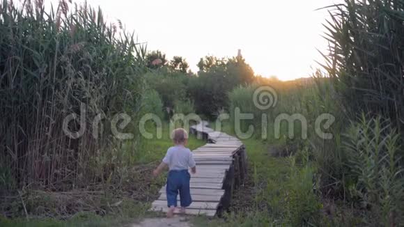可爱的小男孩大胆自信地走在木桥上光着脚在大自然中的芦苇丛中日落视频的预览图