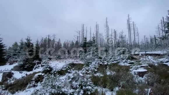 冬季山脉有雪哈兹森林湖奥德泰奇风景视频的预览图