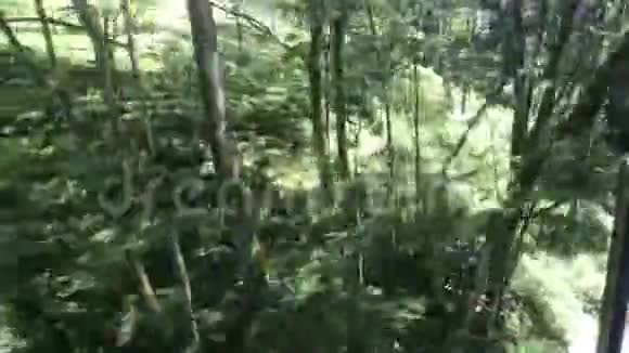 埃拉斯里兰卡坐火车穿越瀑布视频的预览图