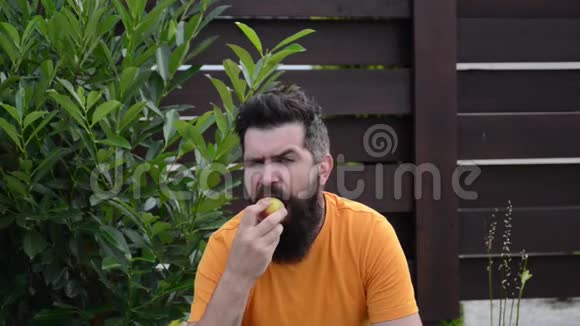 留胡子的人在户外吃桃子快乐的人在后院微笑和休息有胡子的家伙享受花园里的水果蔬菜视频的预览图